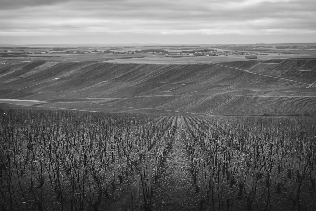 Keller-Lapointe Champagne unique en goût